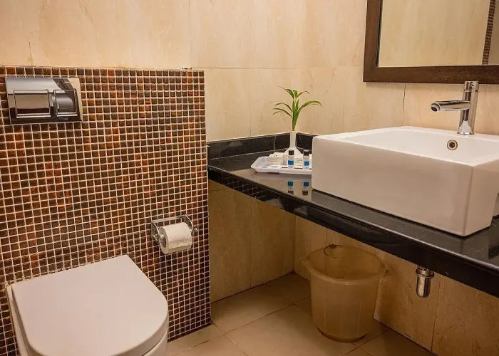 Delux Room With Balcony room