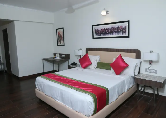 Delux Room room